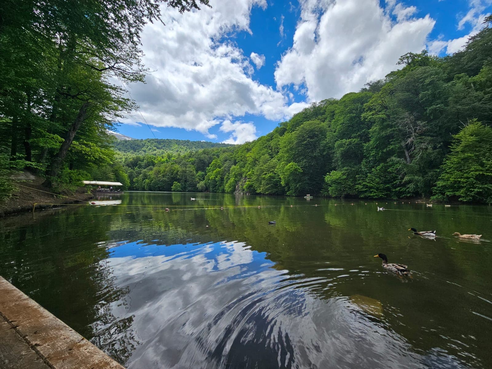 Nature & Scenic Escape